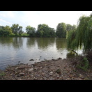 Wir hatten den Main erreicht